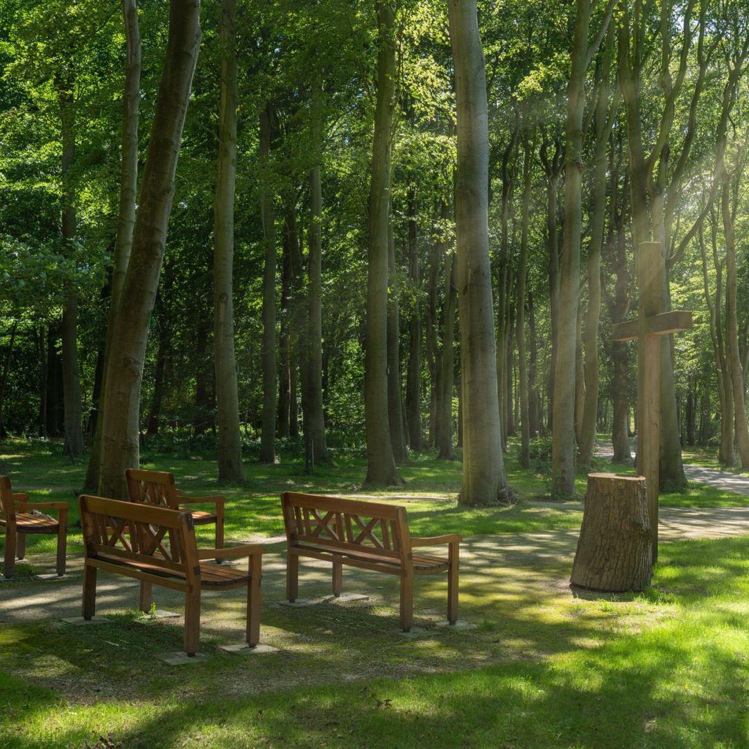 losing someone concept forest with chair and cross, morning someone concept